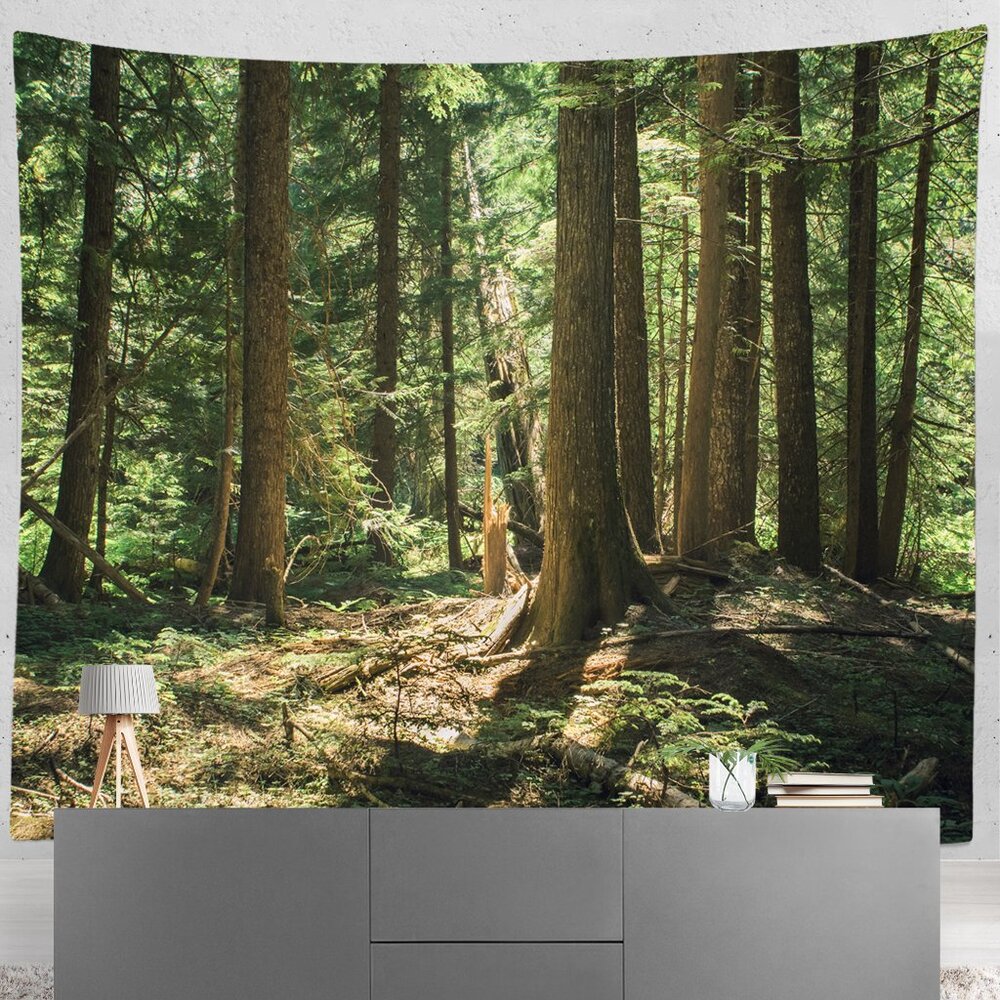 Giant Cedar Forest Tapestry 104x88 inches full wall immersion